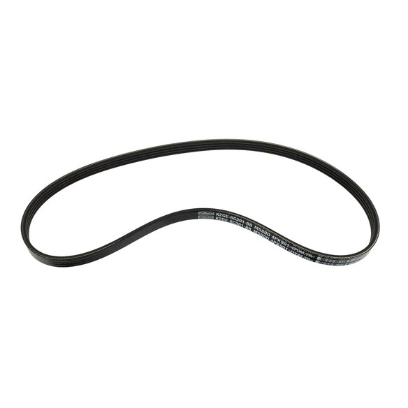 Serpentine Belt Main Image