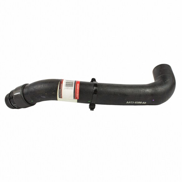 Radiator Coolant Hose - Lower Main Image