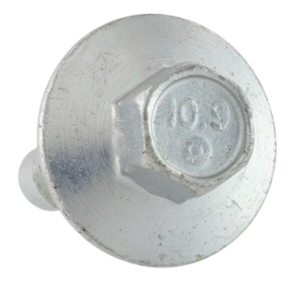 509031.jpg