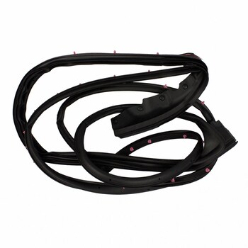 Door Seal Window Weatherstrip - Left, Front