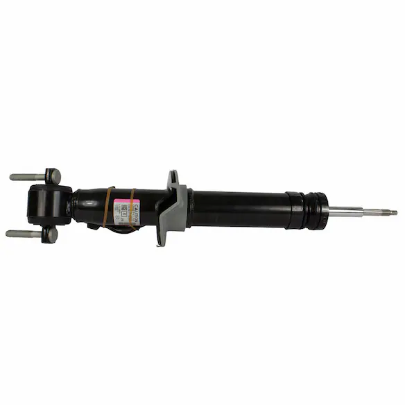 Suspension Strut - Right, Front Main Image