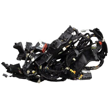 Wiring Main - Driver