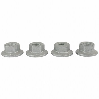 Hex Head Nut