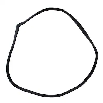 Door Seal Weatherstrip - Left, Rear