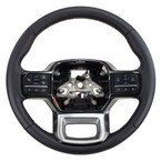 Steering Wheel (Premium) Main Image