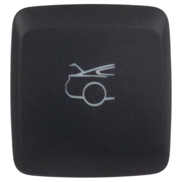 Trunk Lid Release Switch Main Image