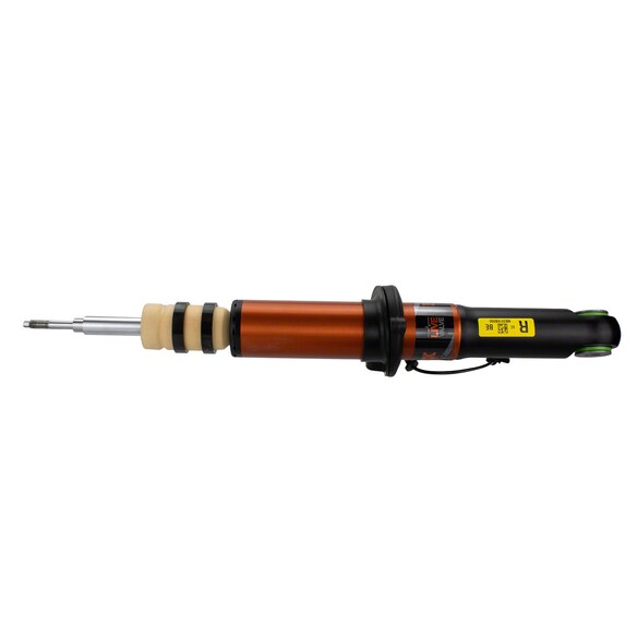Suspension Strut - Right, Front Main Image