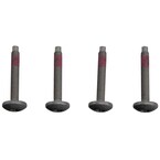 Roof Molding Bolt - M6 X 38.5 Main Image