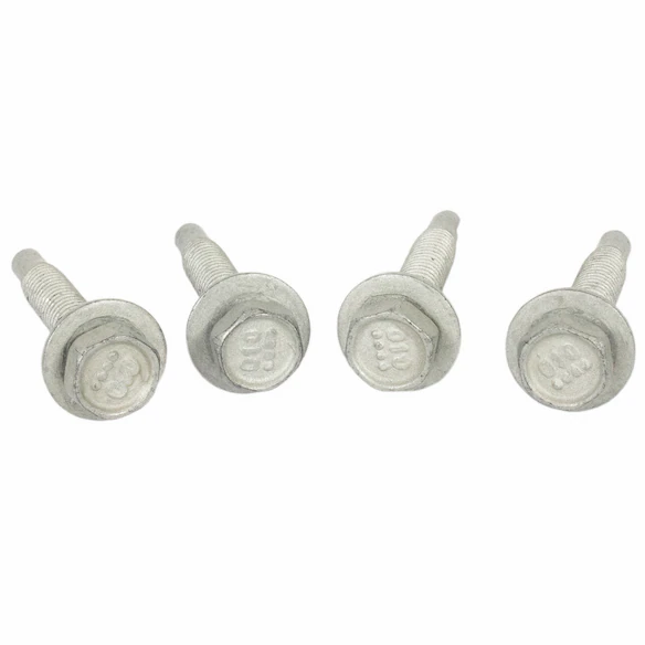 Roof Luggage Carrier Side Rail Bolt Screw And Washer - 6 x 31mm Main Image