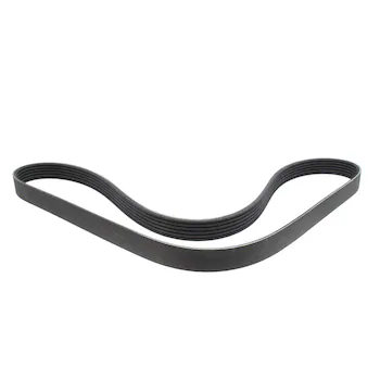 Serpentine Belt