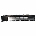 Bumper Grille - Front Main Image