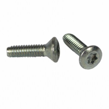 Screw Oval Head