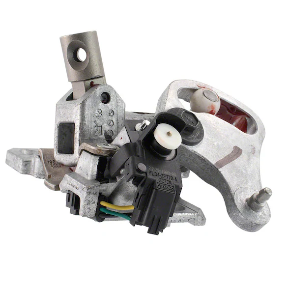509042.jpg