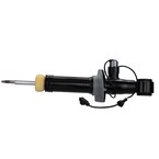 Suspension Shock Absorber - Left, Rear Main Image