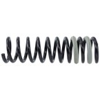 Coil Spring - Left, Right, Rear Main Image