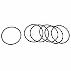Seal (AT) Main Image
