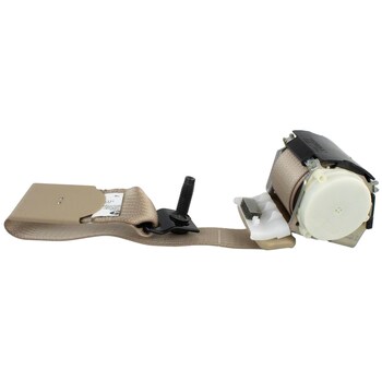 Seat Belt Shoulder - Rear, Center