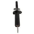 Suspension Shock Absorber - Front Main Image