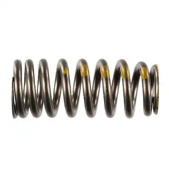 Engine Valve Spring - 1.5L