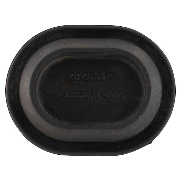 528049.jpg