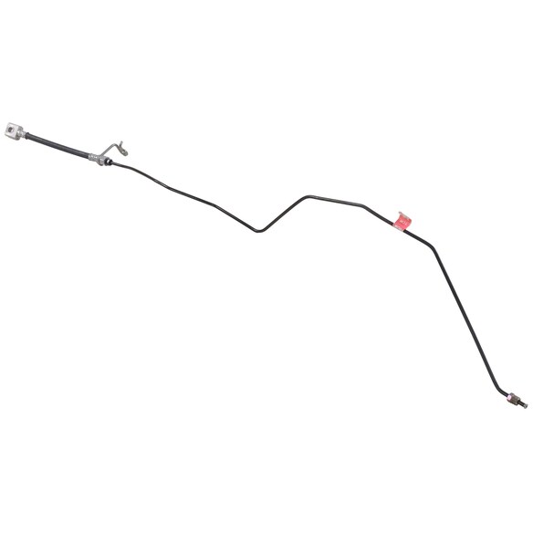 731049.jpg