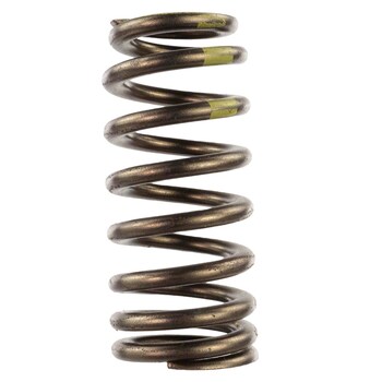 Valve SPRINGS - 3.0L