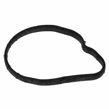 Engine Coolant Thermostat Gasket Housing Seal - Outlet