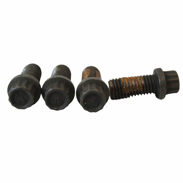 Bolt Main Image