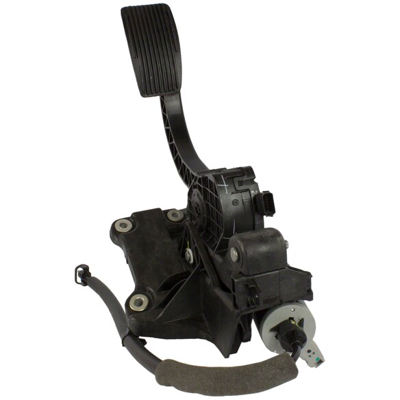 725053.jpg