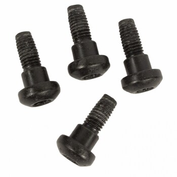 Seat Belt Lap and Shoulder Bolt Screw