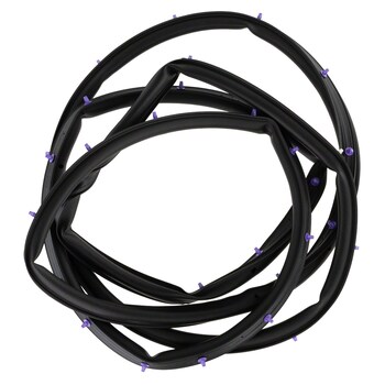 Door Seal Weatherstrip - Right, Front