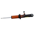 Suspension Strut - Right, Front Main Image