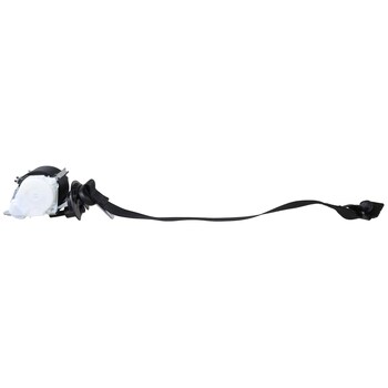 Seat Belt - Left, Rear