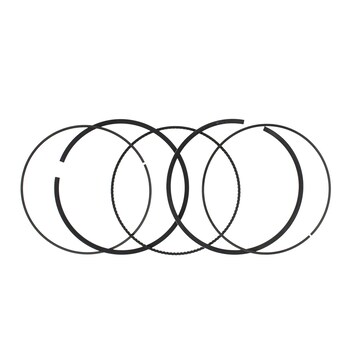 Engine Piston Ring Kit - 5.0L