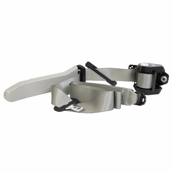 Seat Belt Lap and Shoulder - Left, Rear