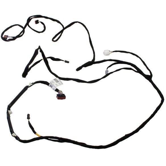 595063.jpg