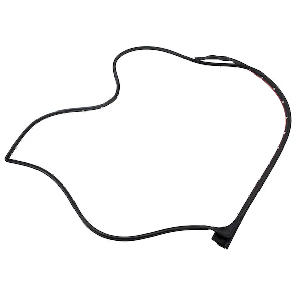 Door Seal Weatherstrip - Right, Front, Outer Main Image