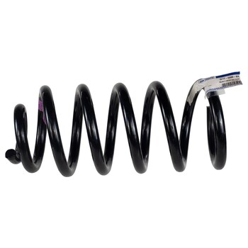 Coil Spring - Rear