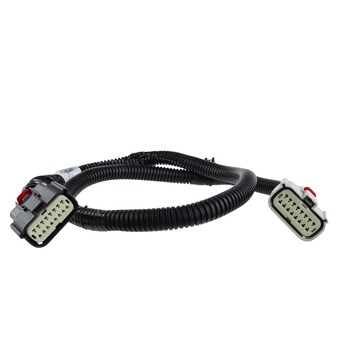 Tail Light Socket - Rear