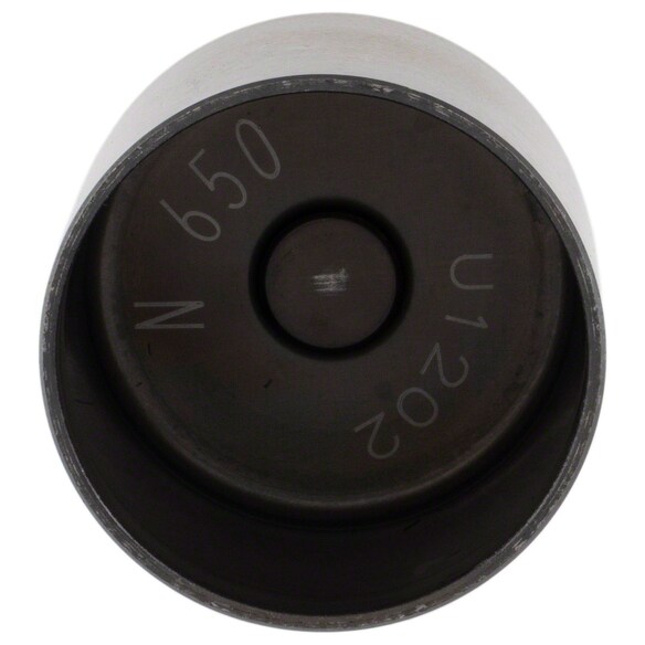 474068.jpg