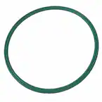 Fuel Pump Tank Seal Gasket Main Image