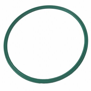 Fuel Pump Tank Seal Gasket