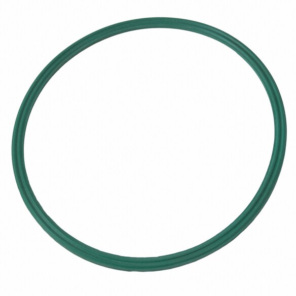 Fuel Pump Tank Seal Gasket Main Image