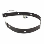 Liftgate Motion Sensor Trunk Lid Release Switch - Upper Main Image