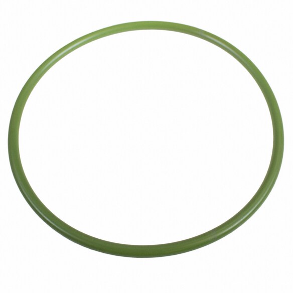 Fuel Pump Tank Seal Main Image