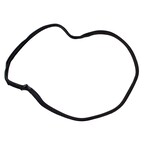 Door Seal Weatherstrip - Right, Rear Main Image
