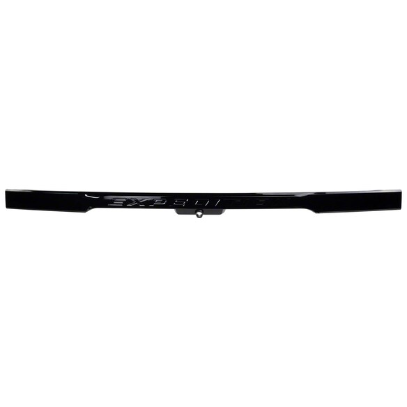Liftgate Latch Handle Exterior Trim Panel Main Image