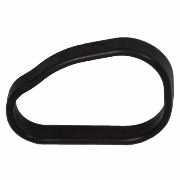 Engine Coolant Thermostat Housing Gasket. Water Neck Gasket - Right, Inlet - 4.6L. Main Image