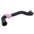 Radiator Coolant Hose - 1.6L Main Image