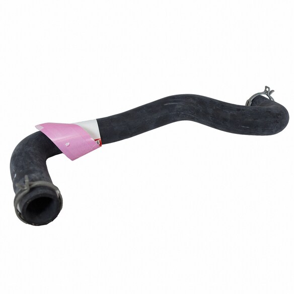 Radiator Coolant Hose - 1.6L Main Image